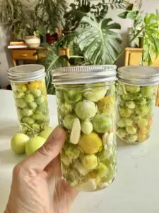 green tomatoes preserving