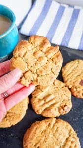 vegan peanut butter cookies