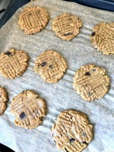vegan peanut butter cookies