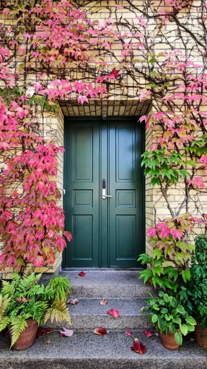 autumn door house