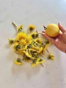 dandelions and lemon
