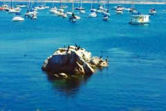Monterey Bay