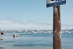 Monterey Bay
