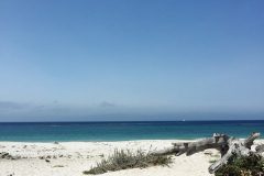Pebble Beach