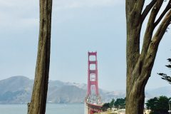 Golden Gate